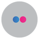 flickr Silver icon