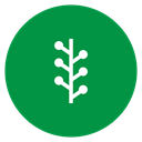 Newsvine ForestGreen icon