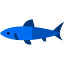 Sea Life, Animals, Animal, shark, Aquarium, Aquatic Black icon