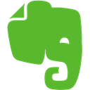 Note, Evernote, elephant LimeGreen icon