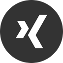 Logo, media, Social, Xing DarkSlateGray icon