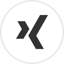 Social, media, Logo, Xing DarkSlateGray icon