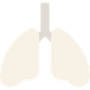 Lungs Linen icon