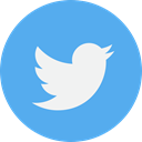 twitter CornflowerBlue icon