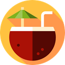 party, Alcoholic Drinks, drinking, straw, food, leisure, Alcohol, cocktail SandyBrown icon