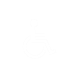 appbar, handicap Icon