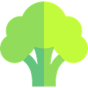 food, Food And Restaurant, vegetable, Broccoli, vegan, vegetables, Healthy Food, Supermarket, Foods, vegetarian YellowGreen icon