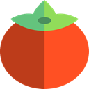 organic, vegetarian, food, Fruit, Food And Restaurant, Healthy Food, vegan, Tomato, diet Firebrick icon