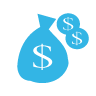 Money, Bag MediumTurquoise icon