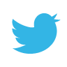 twitter MediumTurquoise icon