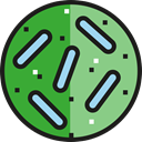 science, Bacteria, education, Biology, virus, medical DarkSeaGreen icon