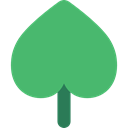Ecology And Environment, garden, nature, plant, Leaf, leave, Botanical, leaves MediumSeaGreen icon