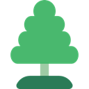 Tree, Botanical, gardening, garden, nature, yard, ecology MediumSeaGreen icon