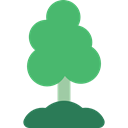 ecology, garden, yard, Botanical, Tree, gardening, nature MediumSeaGreen icon