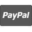 paypal Icon