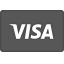 visa Icon