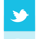 twitter, Mirror, Alt DarkTurquoise icon