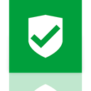 security, Mirror, Approved Icon