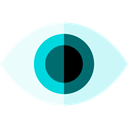Eye, spy, vision, safety, security Black icon