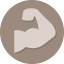 six, flat, muscle, revision Gray icon