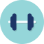 dumbbell, revision, six, flat SkyBlue icon