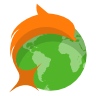 Browser, dolphin Icon