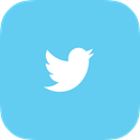 twiter SkyBlue icon