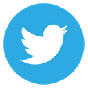 twitter DodgerBlue icon