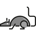 rodent, pet, Animals, rat, wildlife Black icon