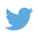 media, bird, Logo, twitter, Social, online, Communication CornflowerBlue icon