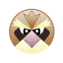 cute, bird, pidgey, monster, pokemon, Go Black icon