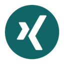 media, network, Social, Xing, Logo Teal icon