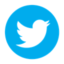 bird, Social, media, twitter, tweet DeepSkyBlue icon