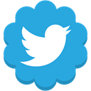 Social, twitter, media, Flower, round DodgerBlue icon