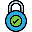 correct, security, padlock, Lock, secure, Tools And Utensils, locked Icon