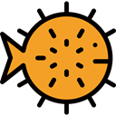 Supermarket, fish, fishes, Foods, meat, food, globe, Animals, Animal, Meats Goldenrod icon