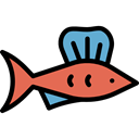 Supermarket, fish, Animal, Animals, food, meat, Meats, Foods, fishes Black icon