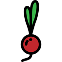 vegan, radish, vegetable, food, organic, diet, vegetarian, Healthy Food Black icon