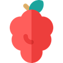 fruits, grape, food, Fruit, Berries, Berry, Bouquet, Grapes, Food And Restaurant Tomato icon