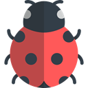 Animals, insect, ladybug, Animal Kingdom, bug DarkSlateGray icon