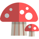 Fungi, food, Muscaria, Mushroom, nature, Food And Restaurant IndianRed icon