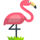 Animal Kingdom, wildlife, bird, zoo, Flamingo, Animals Black icon
