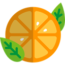 vegan, vegetarian, Fruit, Healthy Food, food, Food And Restaurant, diet, organic, Orange SandyBrown icon