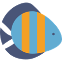 Aquatic, Aquarium, fish, Animals, Animal, Sea Life CornflowerBlue icon