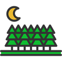 nature, Forest, Pine, Botanical, garden, yard, trees DarkSlateGray icon