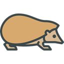 zoo, hedgehog, Animal Kingdom, Animals, Wild Life DarkSalmon icon