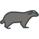 badger, Animals, Wild Life, Animal Kingdom, zoo Black icon