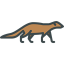 Mongoose, Animals, zoo, Wild Life, Animal Kingdom Black icon