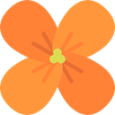 Botanical, nature, blossom, petals, Wallflower, Flower Coral icon