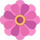 Botanical, Flower, blossom, Zinnia, nature, petals HotPink icon